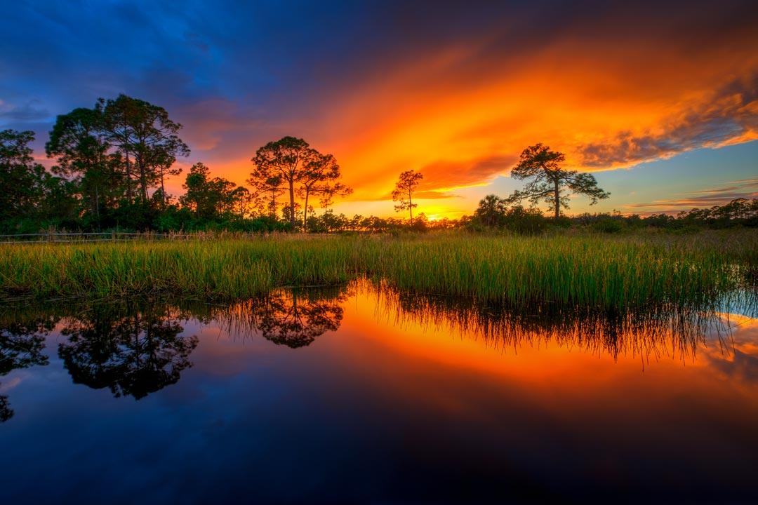 x061x-Acreage-Pines-Natural-Area-Sunset-Loxahatchee-Florida (1)